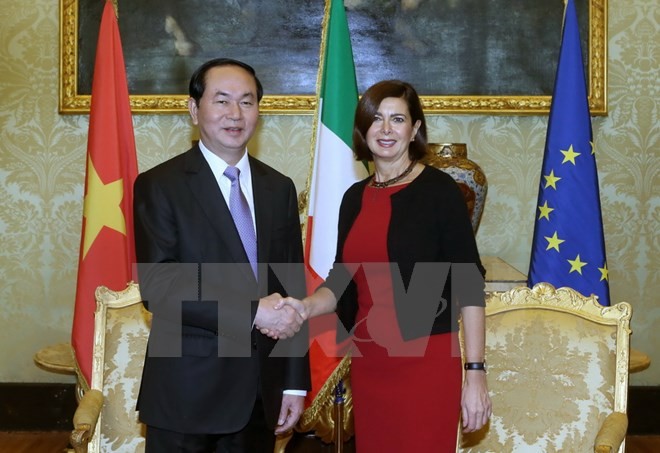Chủ tịch nước Trần Đại Quang hội đàm với Tổng thống Italia Sergio Mattarella - ảnh 3